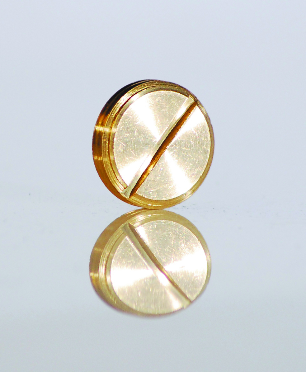 Brass Slotted Plugs Elevator Equipment